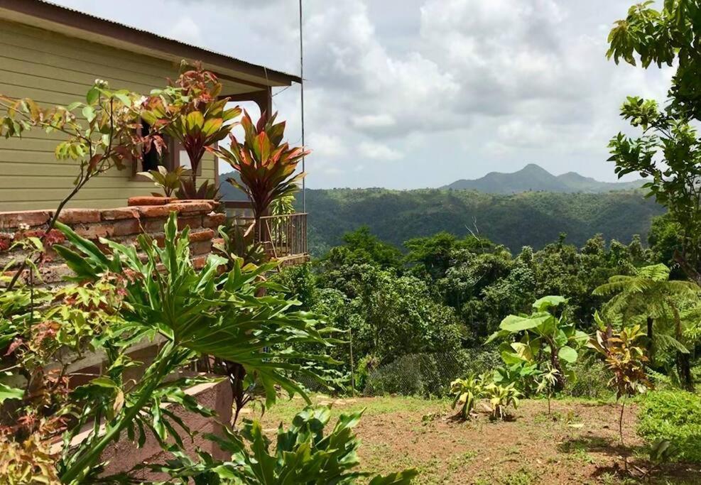 Cabin Mountain View Near Ponce Slepts 8 Экстерьер фото